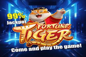 6pgn Live Casino